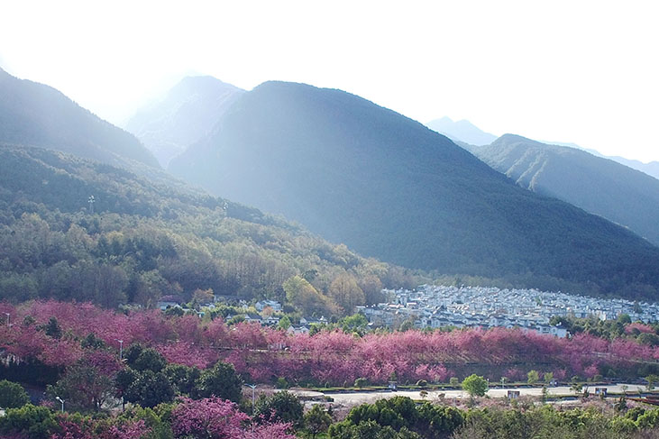 校園風(fēng)光