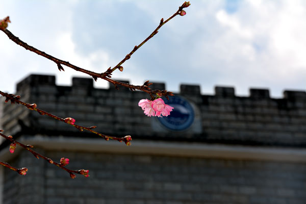 校園風(fēng)光